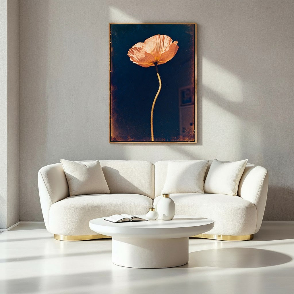 Wadi Home peach poppy flower art print with a delicate bloom against a deep navy background, framed in wood.