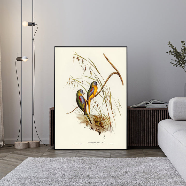Wadi Home vintage illustration of two colorful parrots perched on a branch with tall grasses. Features yellow, blue, and green plumage.