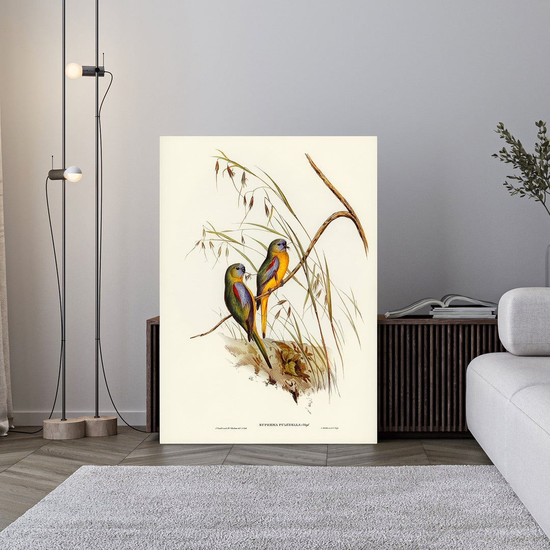 Wadi Home vintage illustration of two colorful parrots perched on a branch with tall grasses. Features yellow, blue, and green plumage.