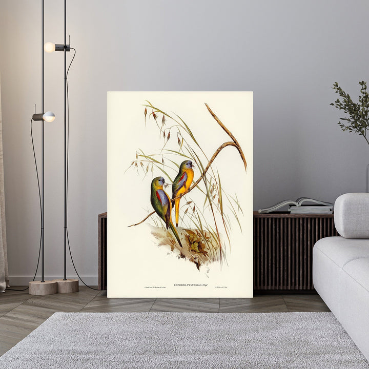 Wadi Home vintage illustration of two colorful parrots perched on a branch with tall grasses. Features yellow, blue, and green plumage.