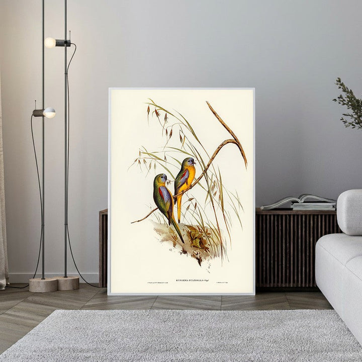 Wadi Home vintage illustration of two colorful parrots perched on a branch with tall grasses, classic art style.