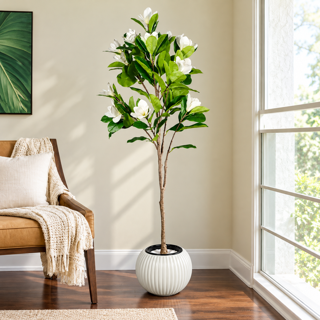 170 cm artificial white magnolia tree with glossy green leaves and a long woody trunk in a spherical white ribbed pot beside a sunlit window.